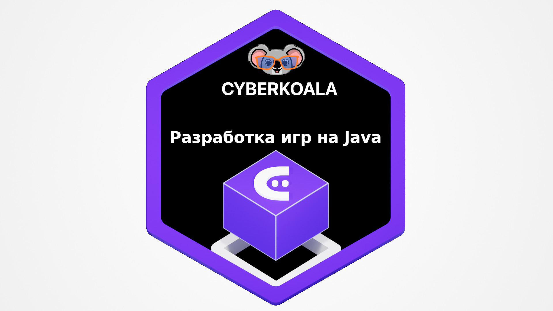 Разработка игр на Java - COMP 1500